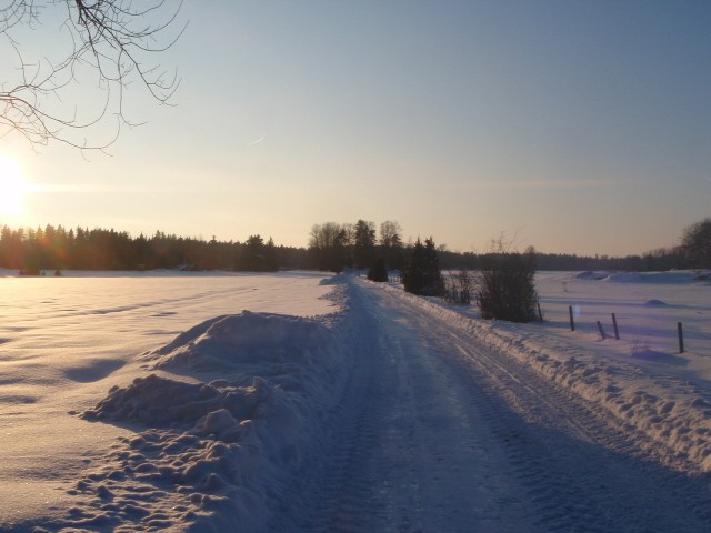 Vinterväg m gren till Hallbo.jpg